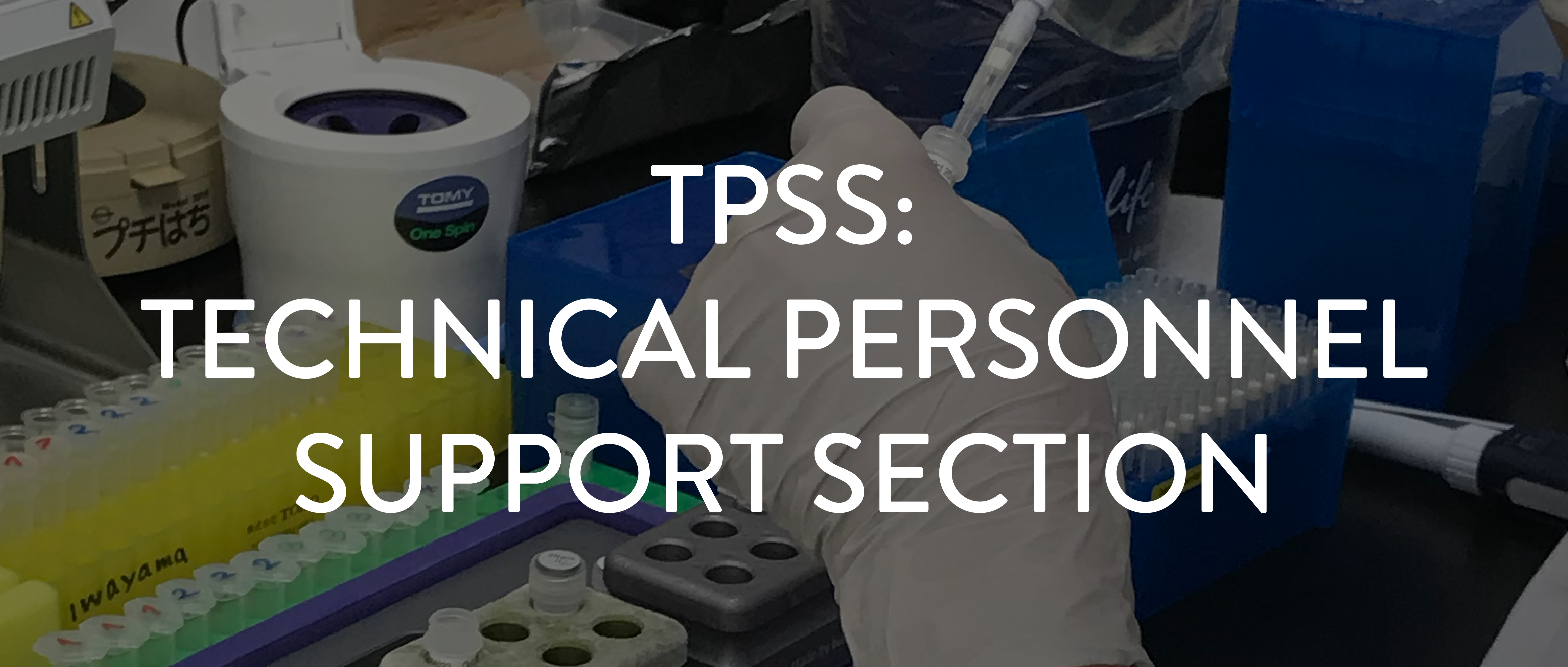 TPSS: �e�N�j�J���p�[�\�l���T�|�[�g�Z�N�V����